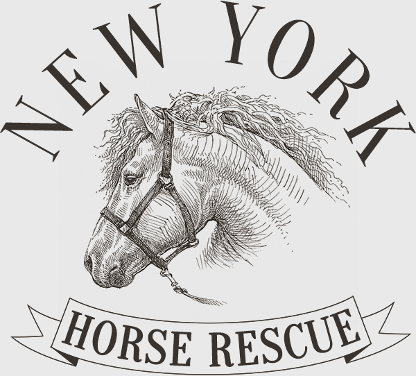 New York Horse Rescue